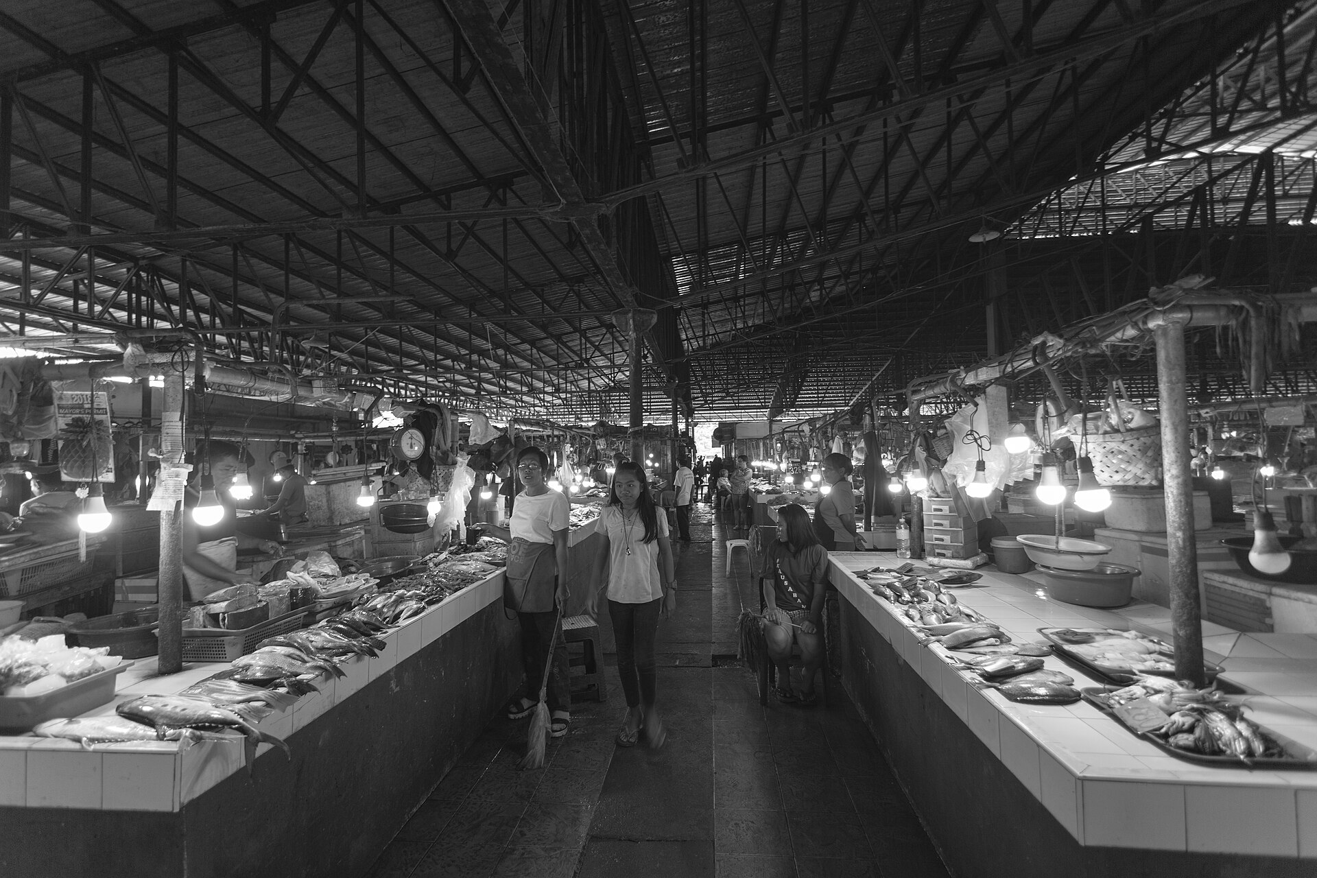 Is a Piggery a Good Investment? Real ROI vs the Alternatives