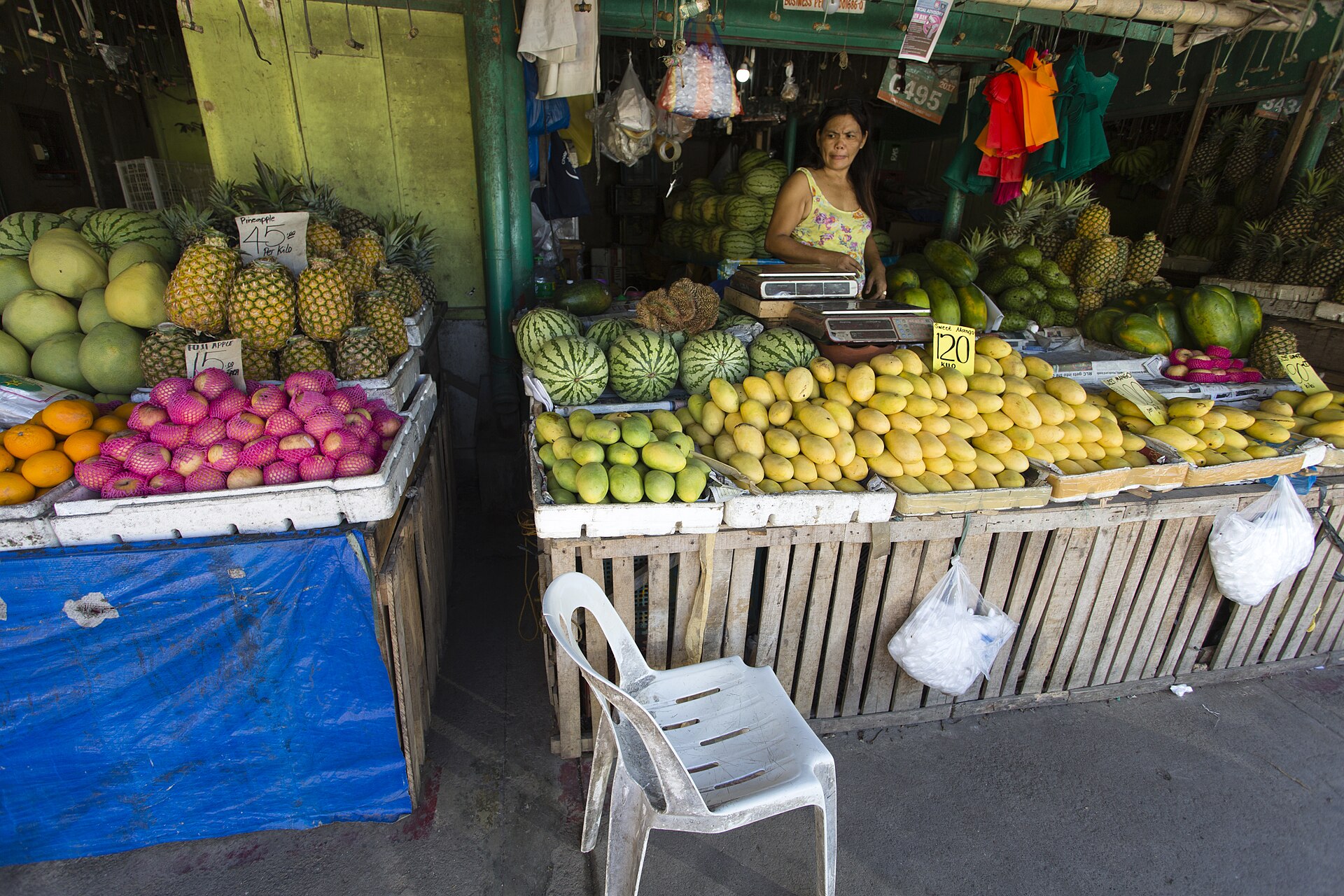 When to Cull a Sow: Price + Replacement Math (Philippines, 2026)