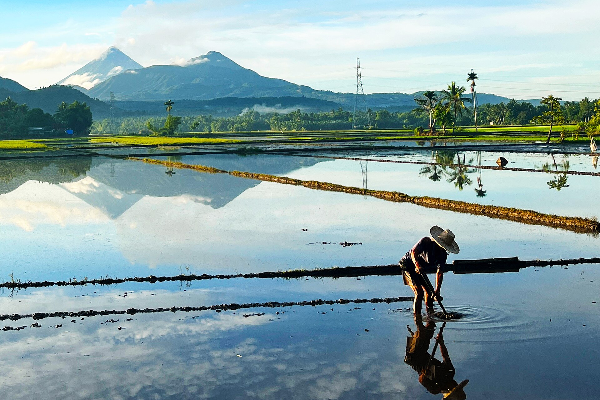 DSWD SLP Seed Capital for Piggery: Real Application + ROI Guide