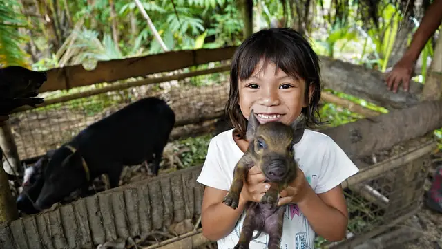 Lechon de Leche from Native Sows: Per-Sow Profit Math (Philippines, 2026)